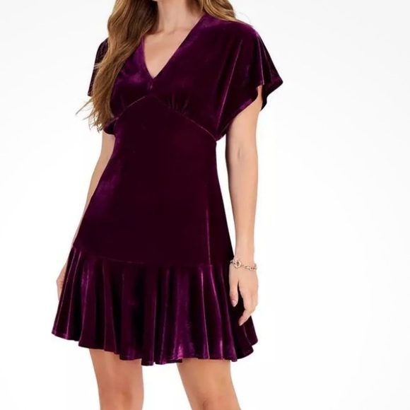 NWT TAYLOR Short Sleeve V-Neck Ruffle Detail Zipper Back Mini Dress Size 4 - Picture 1 of 3